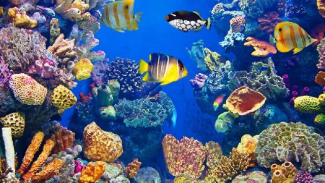 Oroscopo dicembre, Acquario: guadagni ingenti, rotture sul fronte familiare