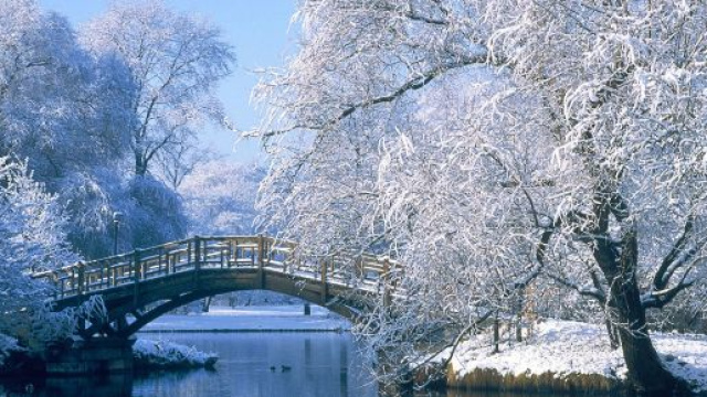 Oroscopo 10 dicembre: Gemelli fantasiosi, shopping per Toro