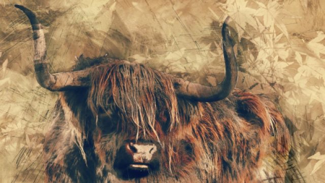 Previsioni astrologiche dicembre, Toro: progetti di coppia in pole position.