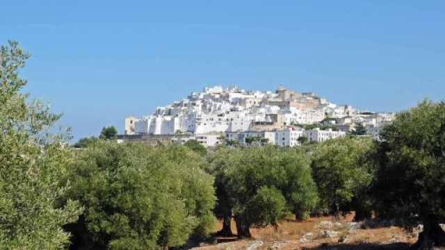 Puglia, si rischia di dover restituire parte dei fondi europei all'agricoltura.