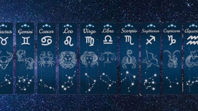 Raffigurazione dei dodici segni dello zodiaco