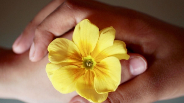 Oroscopo del giorno 28 novembre 2019 | Astrologia, classifica stelline e previsioni: la Luna arriva in Capricorno