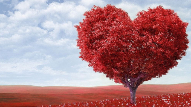 Previsioni astrologiche sull'amore di dicembre: consolidamenti per Toro, Cancro adultero.