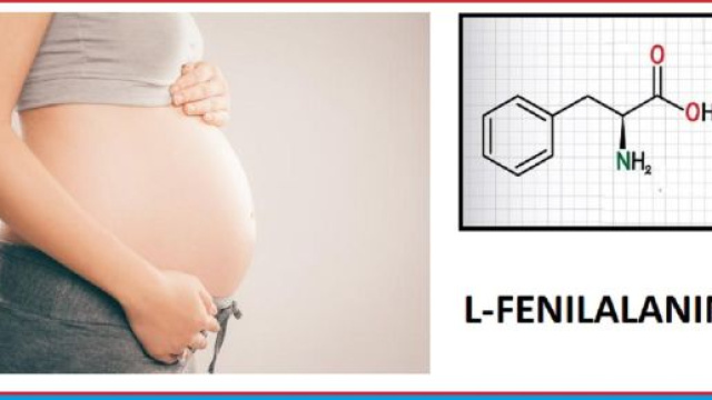 In gravidanza, sin dai primi mesi l&rsquo;organismo ha un maggior bisogno di fenilalanina. E aumenta del 40% nell'ultimo trimestre.