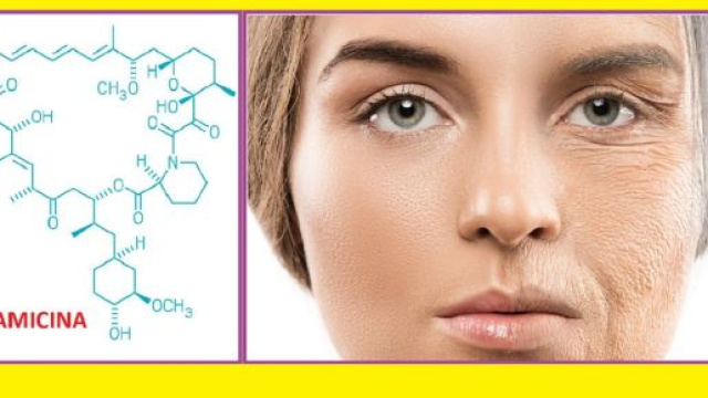 La rapamicina, una molecola naturale prodotta da batteri, da anni impiegata come antirigetto, mostra evidenti propriet&agrave; antiaging.