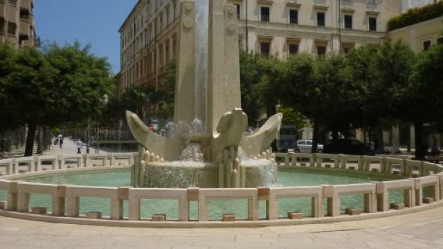 Brindisi, gattina trovata avvelenata in piazza Cairoli