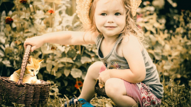 Ces 5 erreurs que font tous les maitres avec leur chat