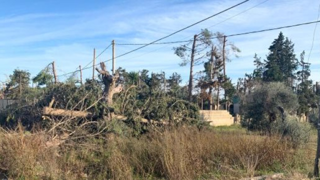 Lecce, operaio cade dal cestello elevatore mentre pota gli alberi.