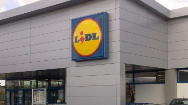 Nuove opportunit&agrave; di lavoro in Lidl in provincia di Verona