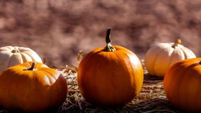 La zucca: l'ortaggio di eccellenza da settembre a novembre