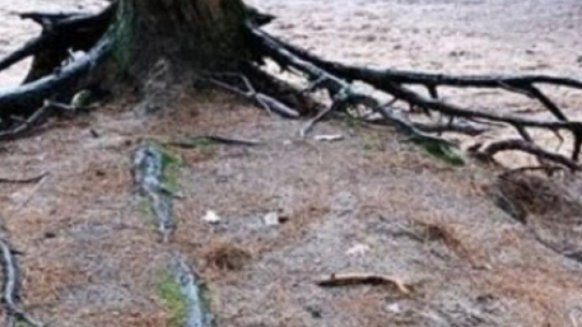 Il luogo in cui &egrave; stato derubato Mathieu Van der Poel