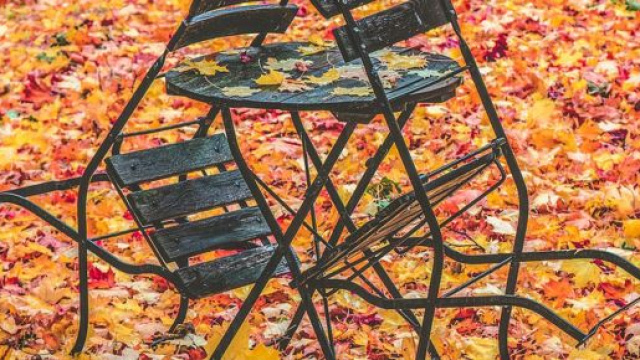 Oroscopo 8 novembre: Cancro occhio agli acciacchi stagionali, male il Capricorno