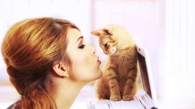 Pourquoi mon chat est jaloux ? - Magazine Avantages - magazine-avantages.fr