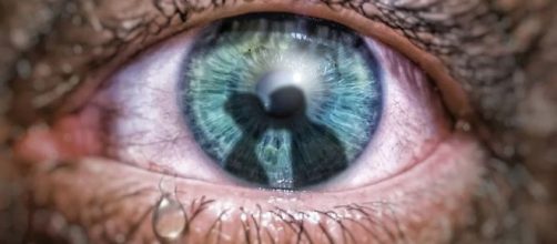 O ci&uacute;mes &eacute; uma emo&ccedil;&atilde;o humana onde se manifesta mais forte em alguns signos. (Reprodu&ccedil;&atilde;o/Pixabay)