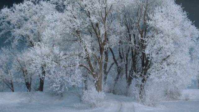 L'oroscopo di domani 12 dicembre