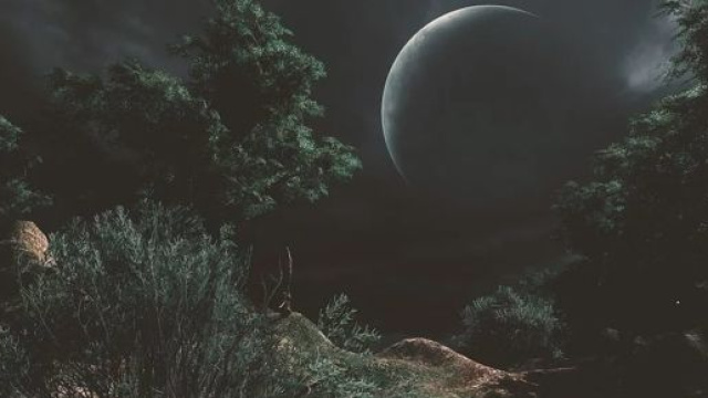 Oroscopo 13 dicembre: spese folli per Gemelli