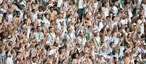 Torcedores do Palmeiras. (Marcos Ribolli/Palmeiras)