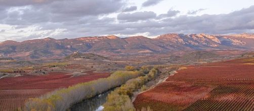 Ingresan a cuatro personas por &ldquo;Fiebre Q&rdquo; en La Rioja