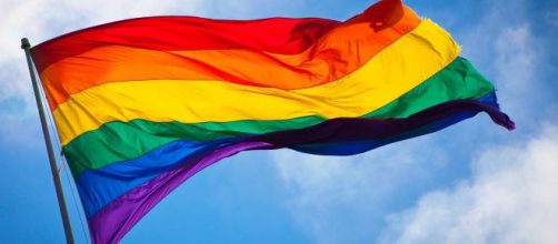 Vicepresidente de EEUU admite prohibici&oacute;n de la bandera gay en las ... - noticiassin.com