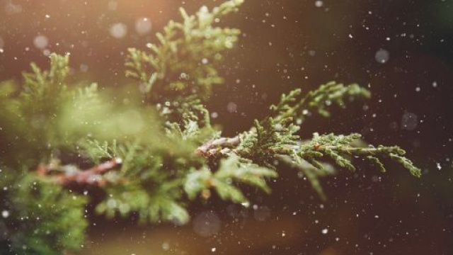 L'oroscopo di domani 15 dicembre