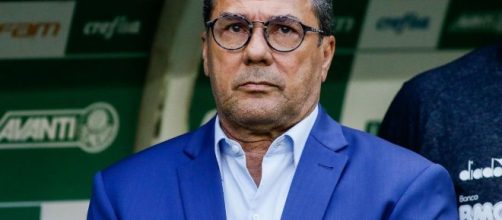 Luxemburgo pode retornar ao Palmeiras em 2020. (Arquivo Blasting News)