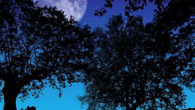 Oroscopo di luned&igrave; 16 dicembre: Sagittario indaffarato, compromessi per Pesci