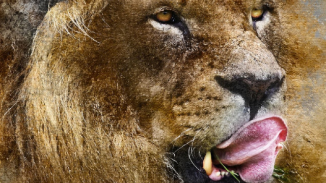 Previsioni astrologiche, classifica fortuna e lavoro del 2020: finanze 'top' per Leone e Toro.