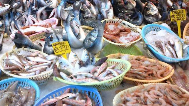Cosa c'&egrave; nel pesce che mangiamo?