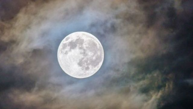 L'oroscopo del 21 dicembre: sabato vivace per la Vergine, giornata sottotono per il Leone