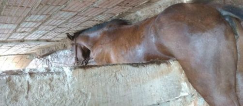 &Eacute;gua cai e fica presa em corredor de casa em Sabar&aacute;, Minas Gerais. (Corpo de Bombeiros/Divulga&ccedil;&atilde;o)