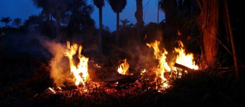 Prefeito de Santar&eacute;m mandou &aacute;udio para o governador do Par&aacute;. (Arquivo Blasting News)