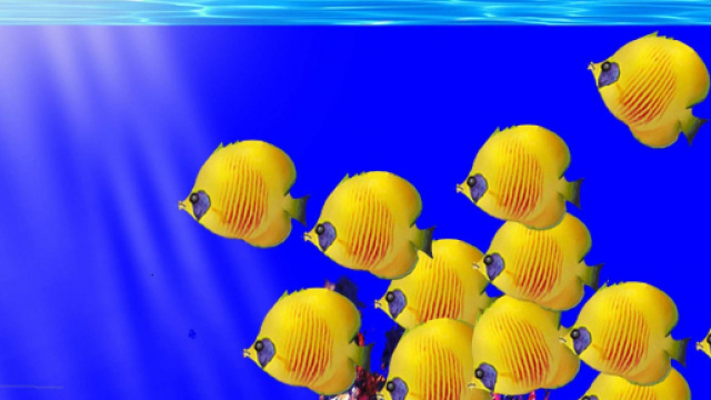 Previsioni astrologiche, classifica 21 dicembre: Pesci pensierosi, umore 'flop' per Toro.