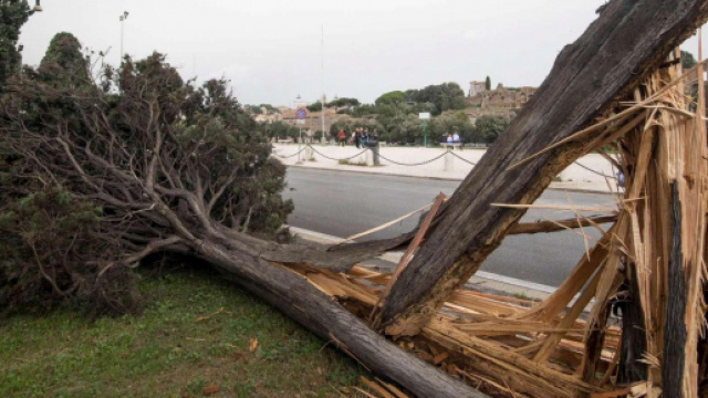 Maltempo, una vittima a Napoli: si tratta di un uomo di 62 anni schiacciato dal fusto di un albero caduto