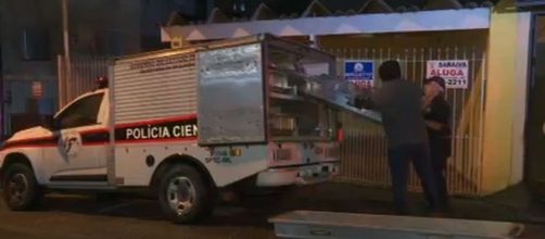 Per&iacute;cia acredita que v&iacute;timas foram mortas no final de semana. (Reprodu&ccedil;&atilde;o/TV Globo)