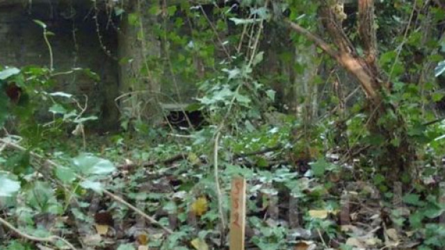 Le associazioni puliranno Parco Langer in collaborazione