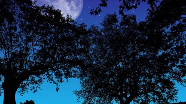 L'oroscopo di domani 29 dicembre