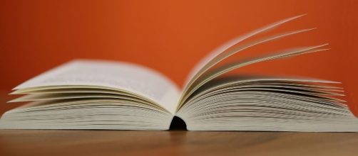 Amor, rejei&ccedil;&atilde;o e suspense s&atilde;o alguns dos temas tratados. (Reprodu&ccedil;&atilde;o/Pixabay)