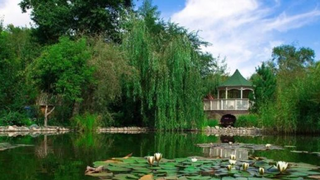 Oroscopo 30 dicembre: Scorpione litigioso, giornata da sogno per Pesci