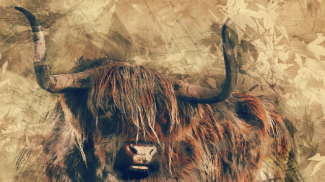 Previsioni astrologiche, classifica 5 dicembre: Scorpione taciturno, Toro romantico.