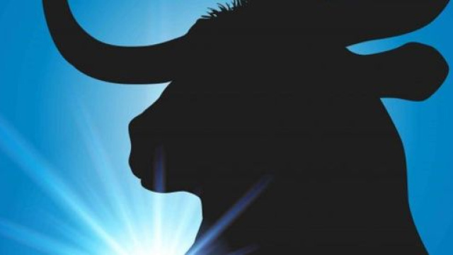 Oroscopo 2020 Toro, lavoro e salute: progetti lavorativi in accelerazione