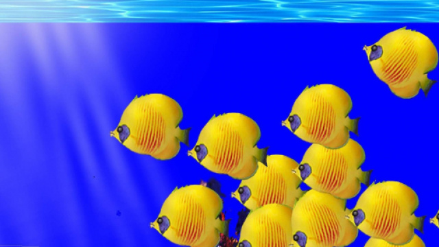 Oroscopo, classifica del weekend 7 e 8 dicembre: Pesci bugiardo, Leone ostinato