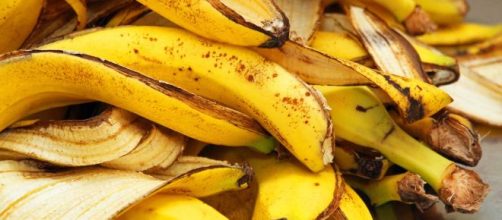 Casca de banana pode ser inclu&iacute;da em diversas receitas e tem alto valor nutritivo. (Arquivo Blasting News)