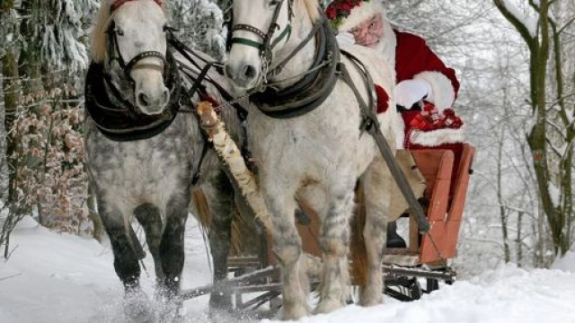 L'oroscopo dell'8 dicembre: Cancro stressato per il Natale, Vergine malleabile