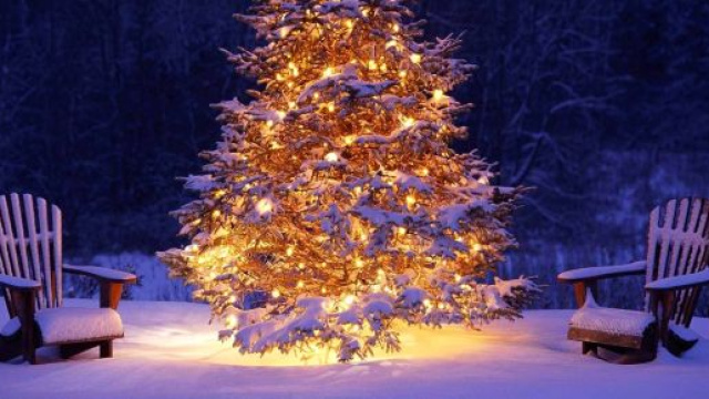 Oroscopo 27 dicembre: Acquario tranquillo, malumore per Pesci