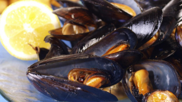 Cozze spagnole contaminate da salmonella: nuova allerta alimentare
