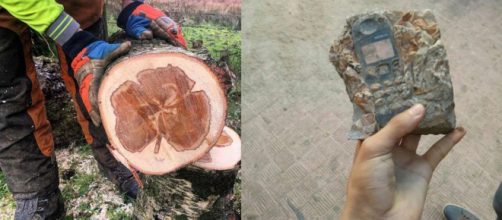 Essas imagens s&atilde;o simplesmente incr&iacute;veis (Fotos - Reprodu&ccedil;&atilde;o)