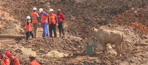 N&uacute;mero de mortos subiu para 165 (Cr&eacute;dito: Reprodu&ccedil;&atilde;o TV Globo).