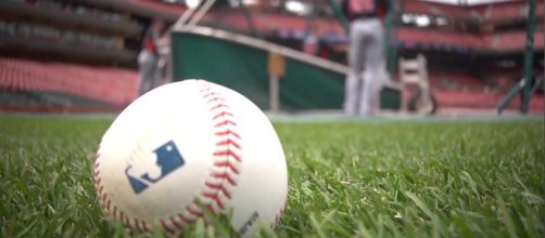 Spring Training 2019 has arrived! [Image via ehomehow/YouTube]