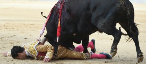 Touradas seguem sendo realizadas em diversos lugares do mundo. Fonte: AFP