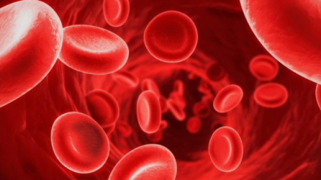 Danimarca, mamma preleva per 5 anni il sangue di suo figlio e lo getta nel water